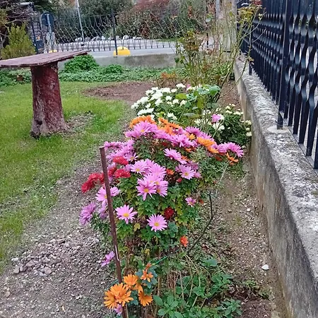 Azzurra 아파트 몬팔코네